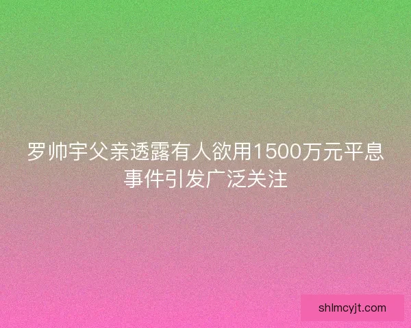 罗帅宇父亲透露有人欲用1500万元平息事件引发广泛关注