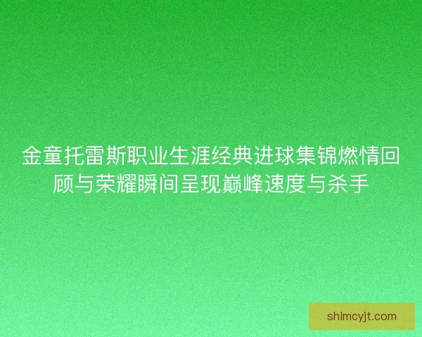 金童托雷斯职业生涯经典进球集锦燃情回顾与荣耀瞬间呈现巅峰速度与杀手