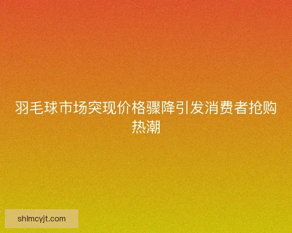 羽毛球市场突现价格骤降引发消费者抢购热潮