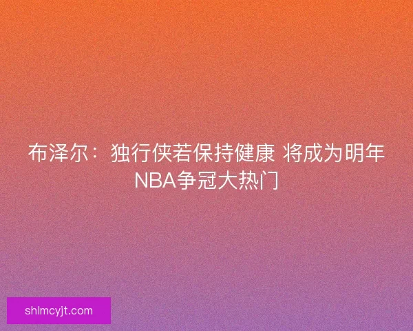布泽尔：独行侠若保持健康 将成为明年NBA争冠大热门