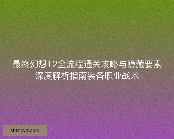 最终幻想12全流程通关攻略与隐藏要素深度解析指南装备职业战术
